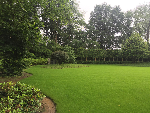 Entreprise de jardin plantation uccle bruxelles brabant wallon hainaut Belgique