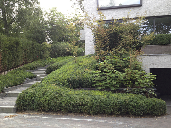 Entrée de propriété et pavage de prestige