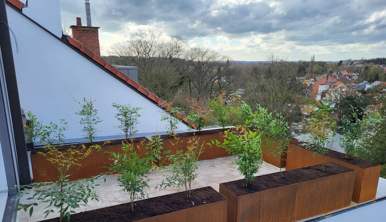 Bacs de plantation en acier Corten plantés de nandinas sur une toiture-terrasse