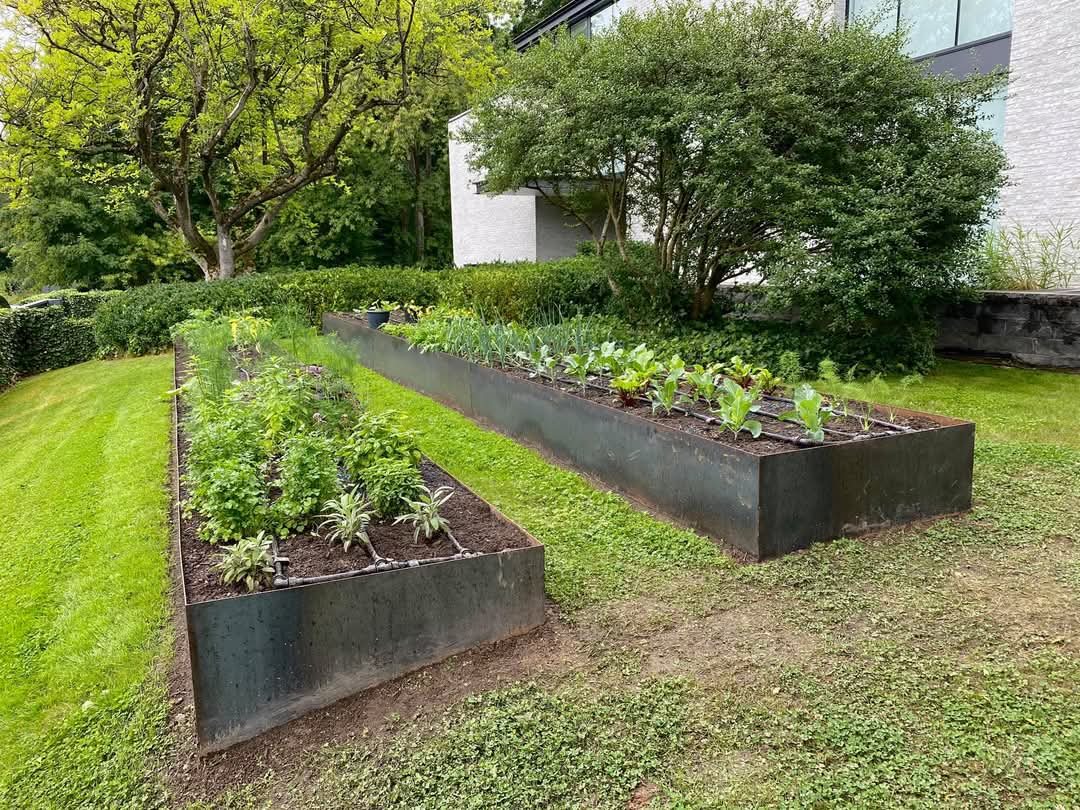 Bacs de potager surélevés en acier Corten plantés de légumes et d'aromatiques, avec arrosage goutte-à-goutte