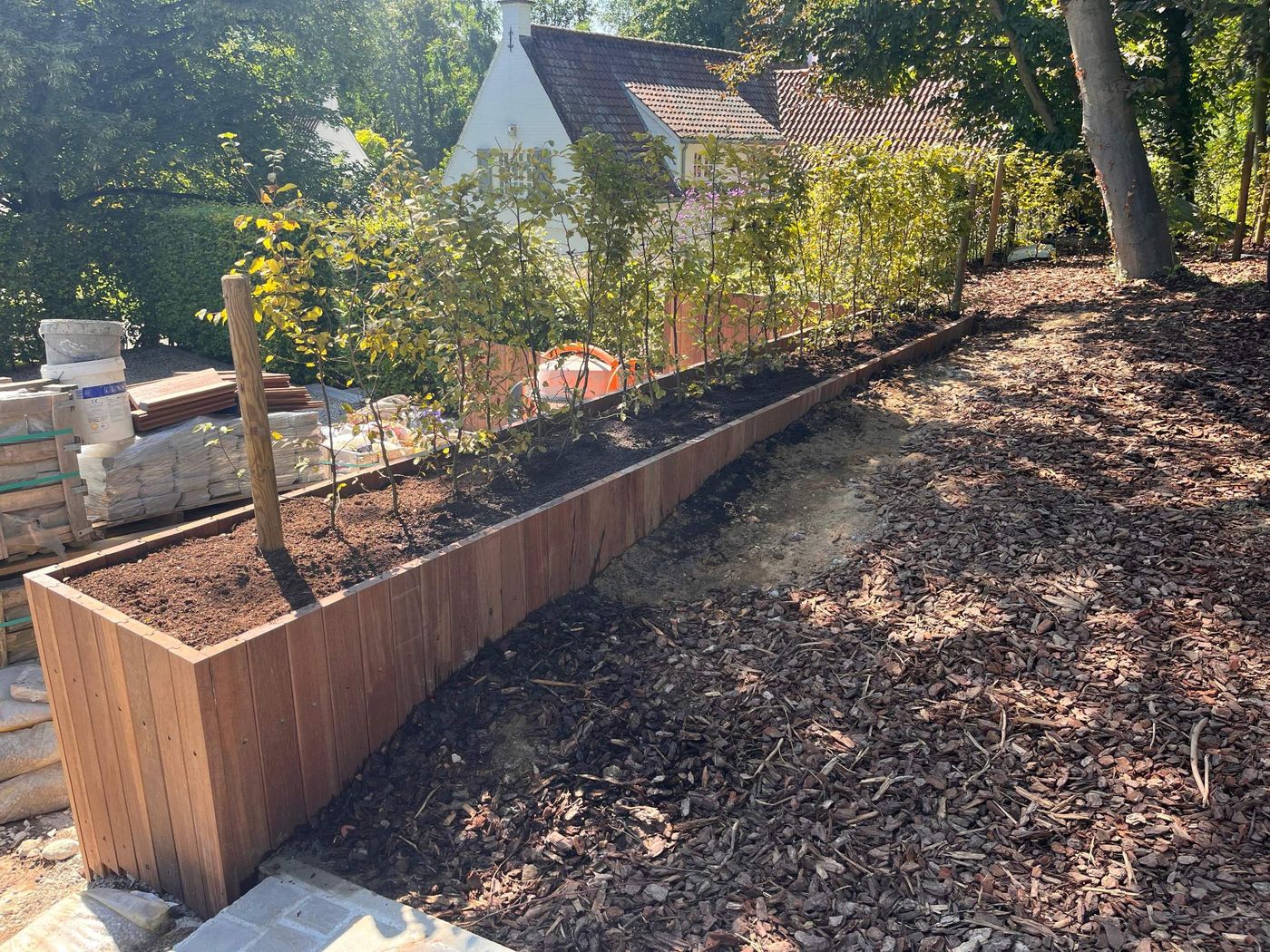 Long bac de plantation en bois, planté d'une haie
